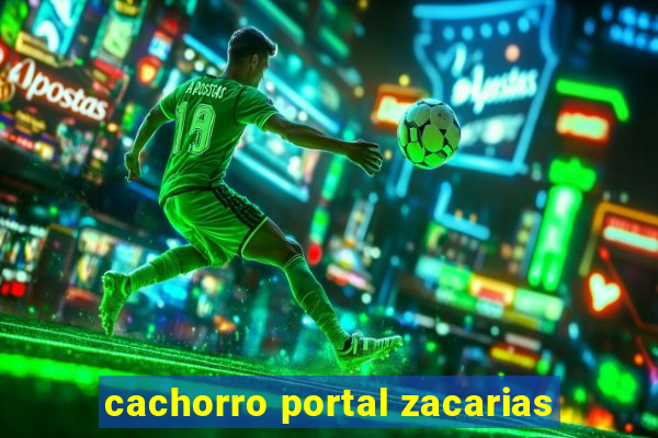 cachorro portal zacarias